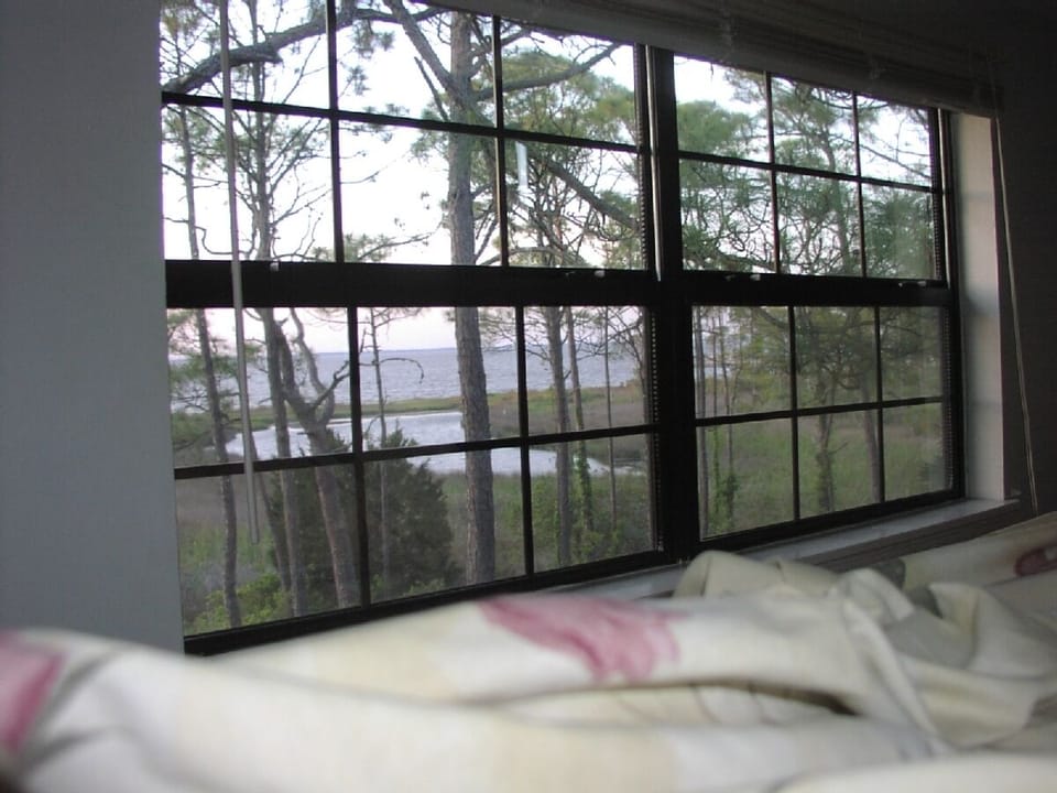 View from upstairs bed