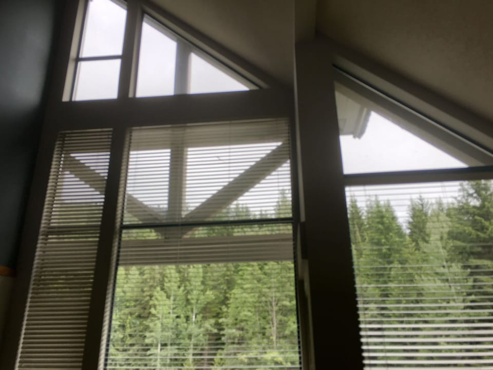 Very tall mountain view windows in living room