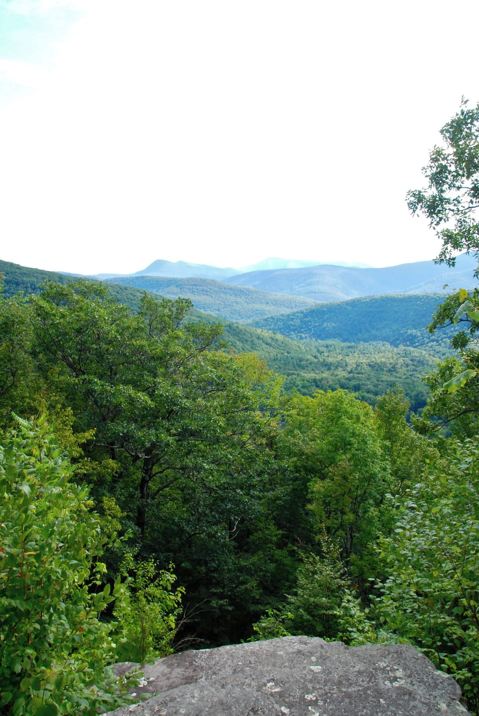 The Lookout ... a no-car hike from Streamside.
