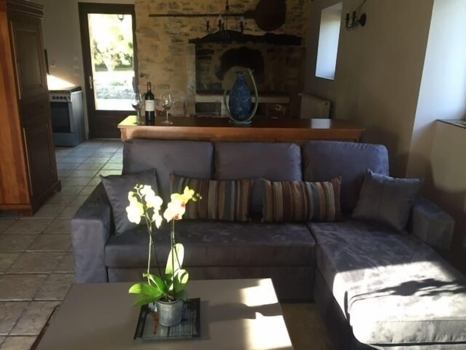 Salle de séjour (Living Room) with walk-out patio to the south.  40"TV & Wifi