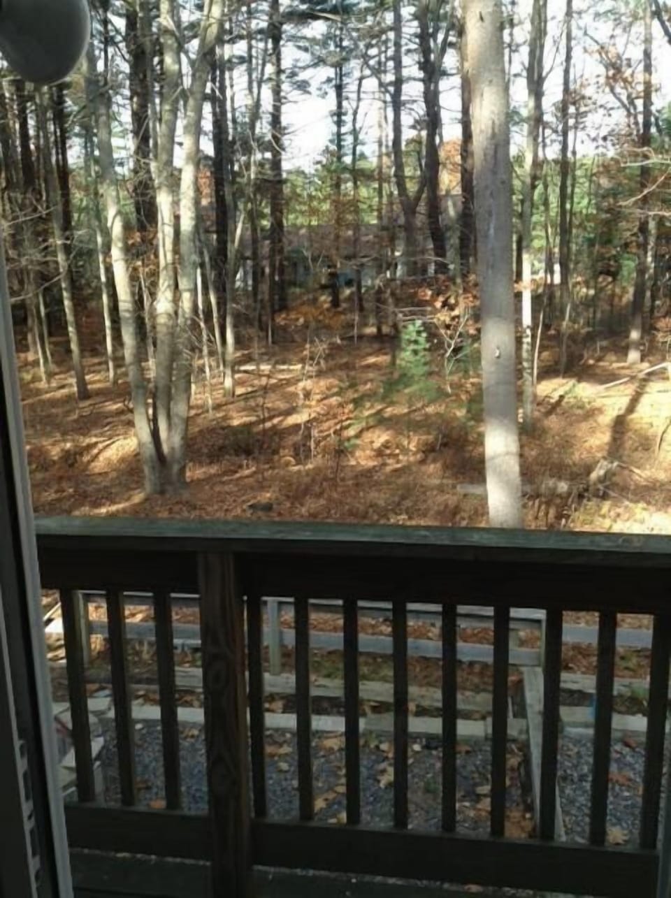 View From Rear Deck