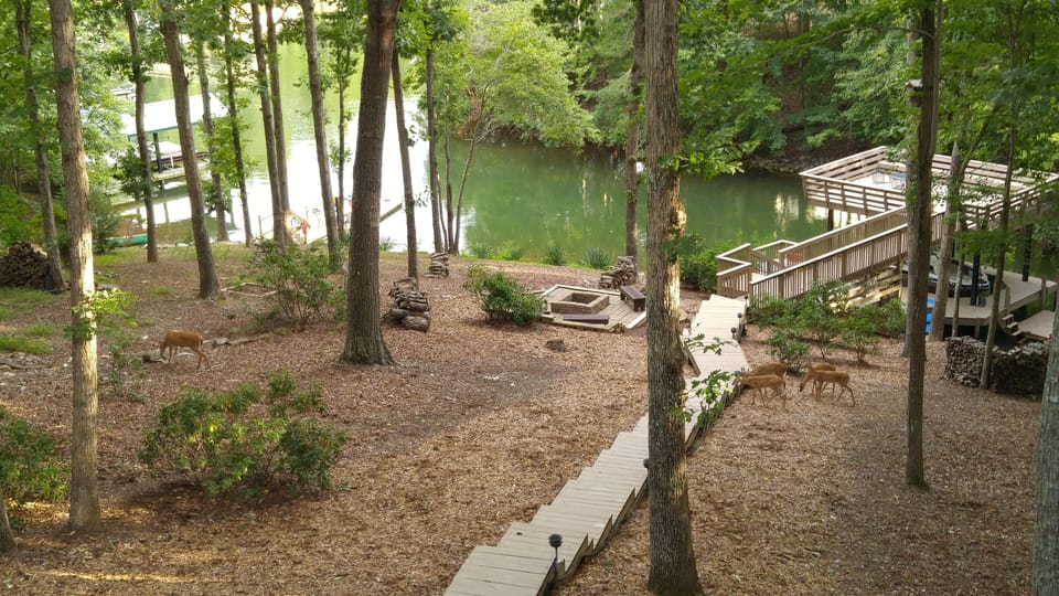 View off upper deck of house