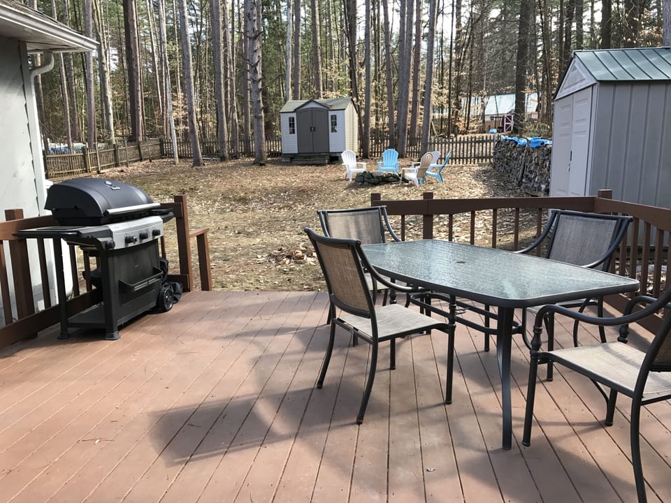 Back yard view