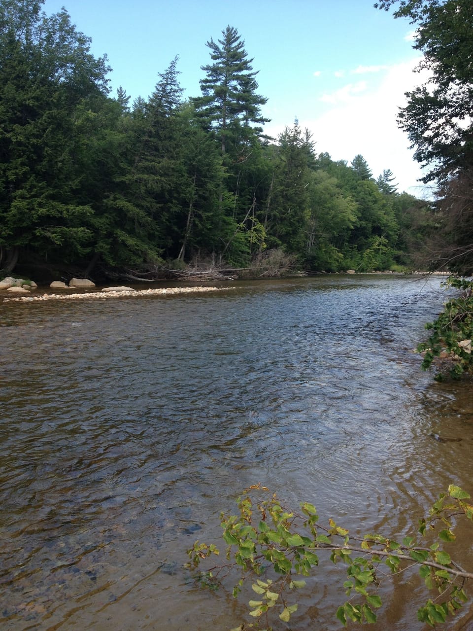 Swimming in the Saco 0.25 miles from house
