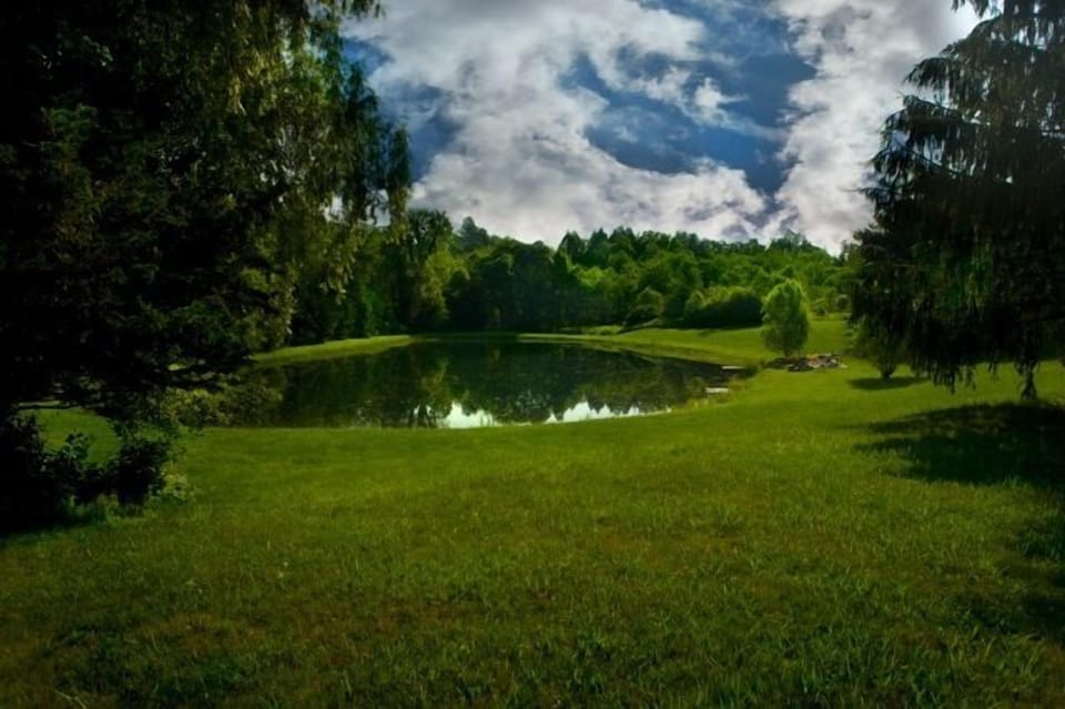 The Pond