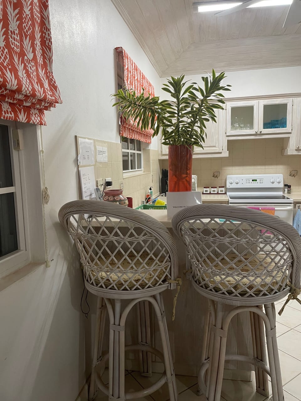 Kitchen bar