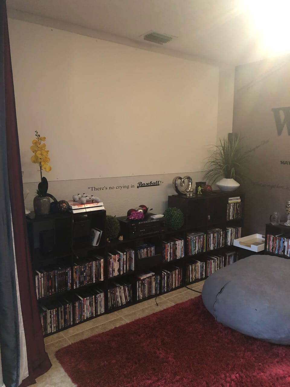 No need to go to the movies. Your very own Movie Room 