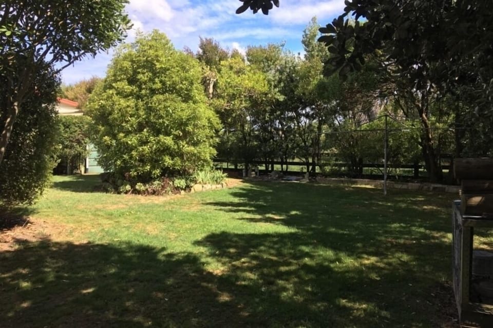The backyard