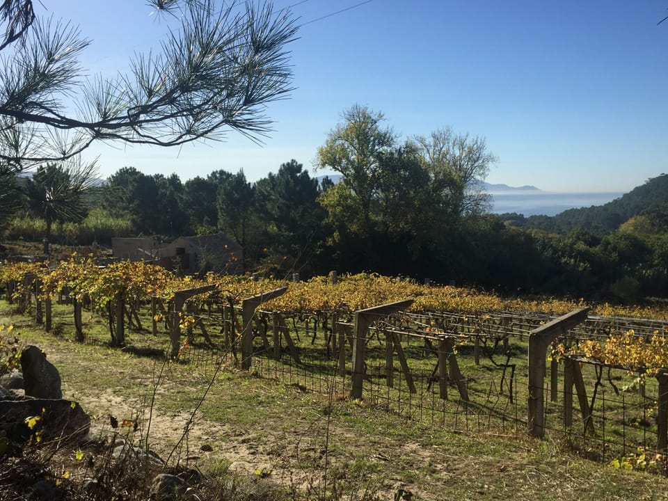 The main house is on the left, and the small house further on the left