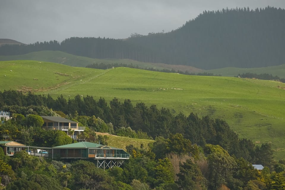 Top house