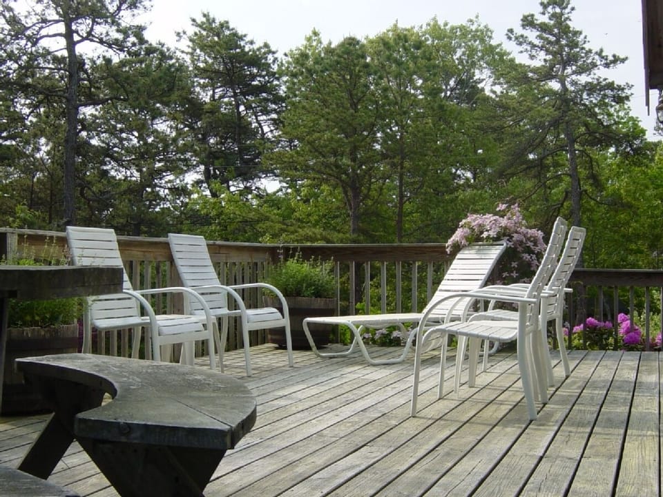 The Deck