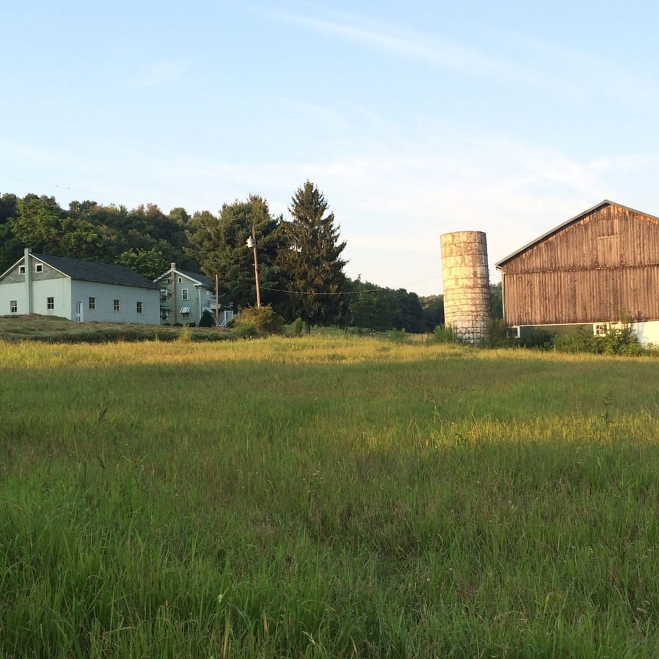 West side view of property. The barn and farm land is open for exploring! 