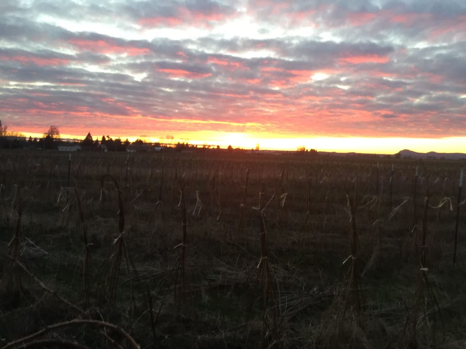 Great sunset  views from the back deck!!