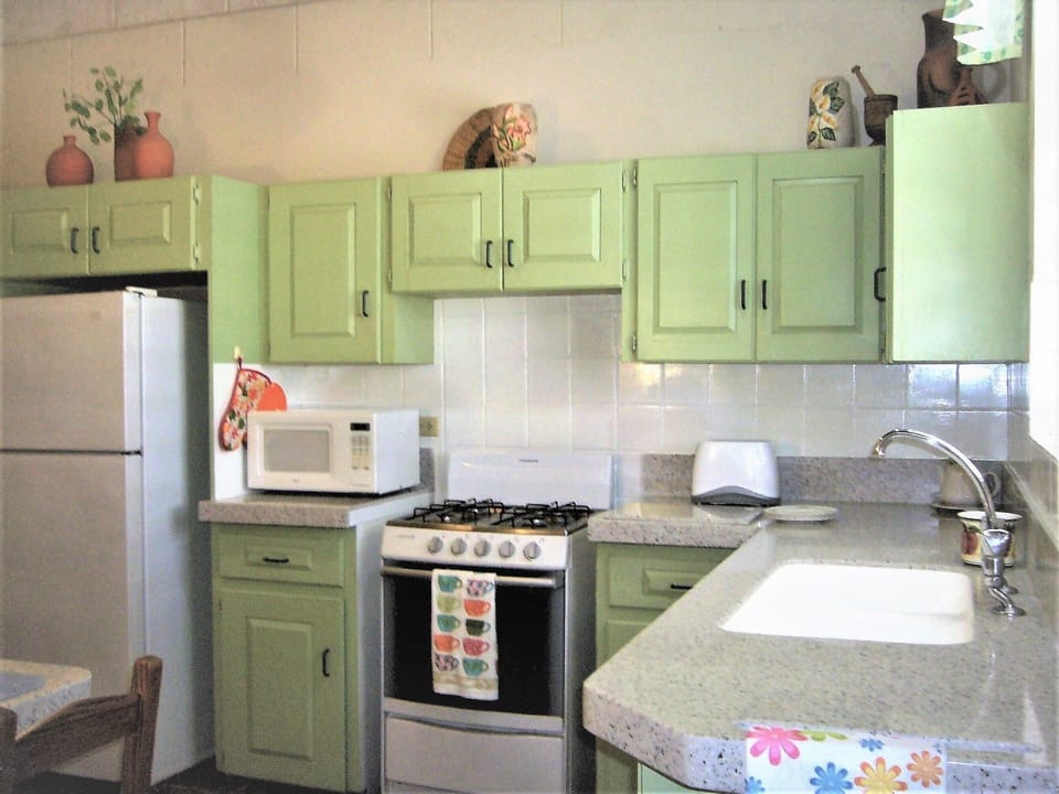 Kitchen with all necessary appliances and cookware