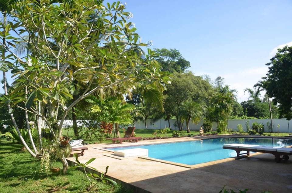 Pool view from kitchen area