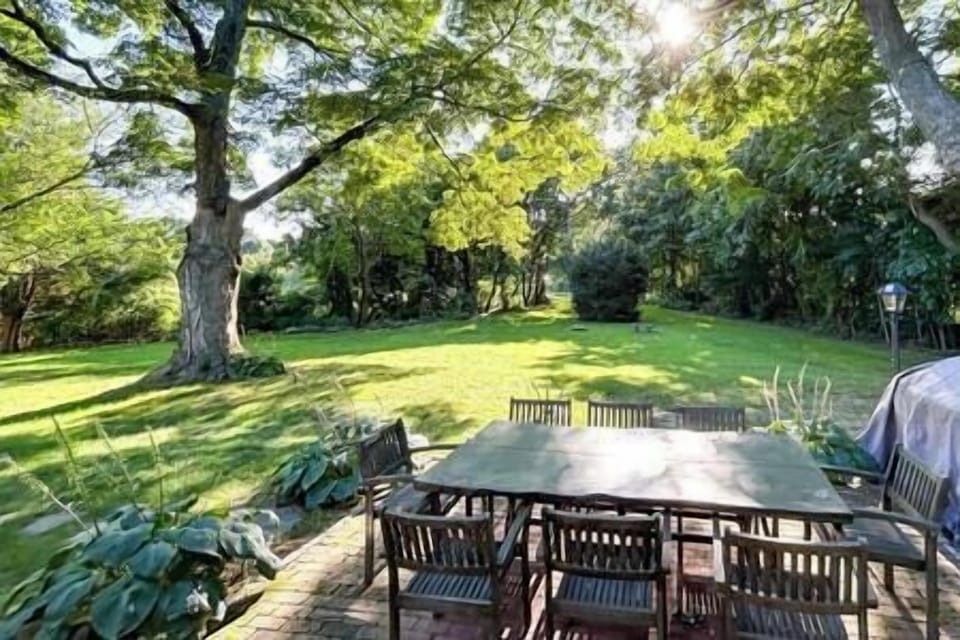 Patio and back yard