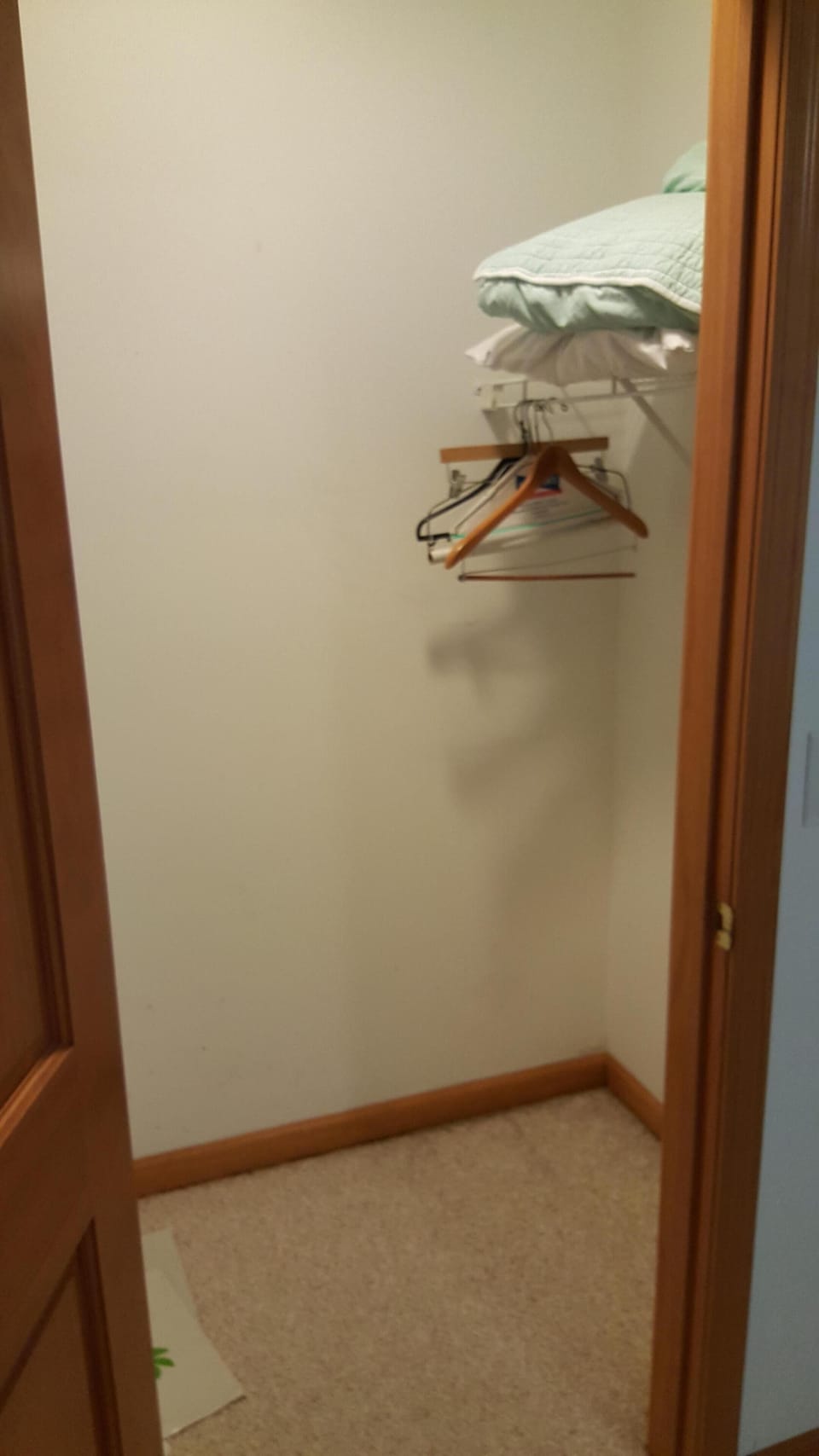 Master Bedroom walk-in closet (right side)