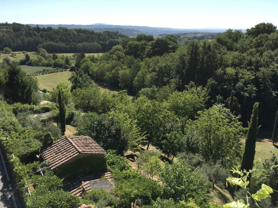 areal view of the cottage and garden