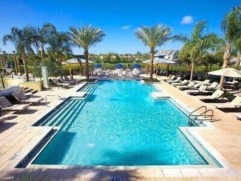 Adult Pool