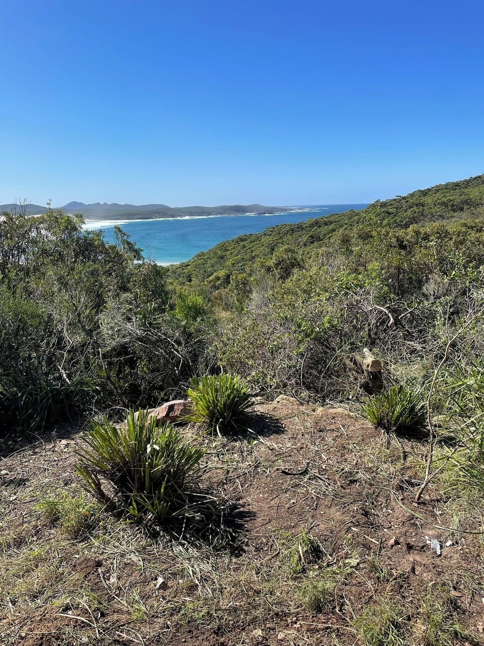 One Mile Beach from property