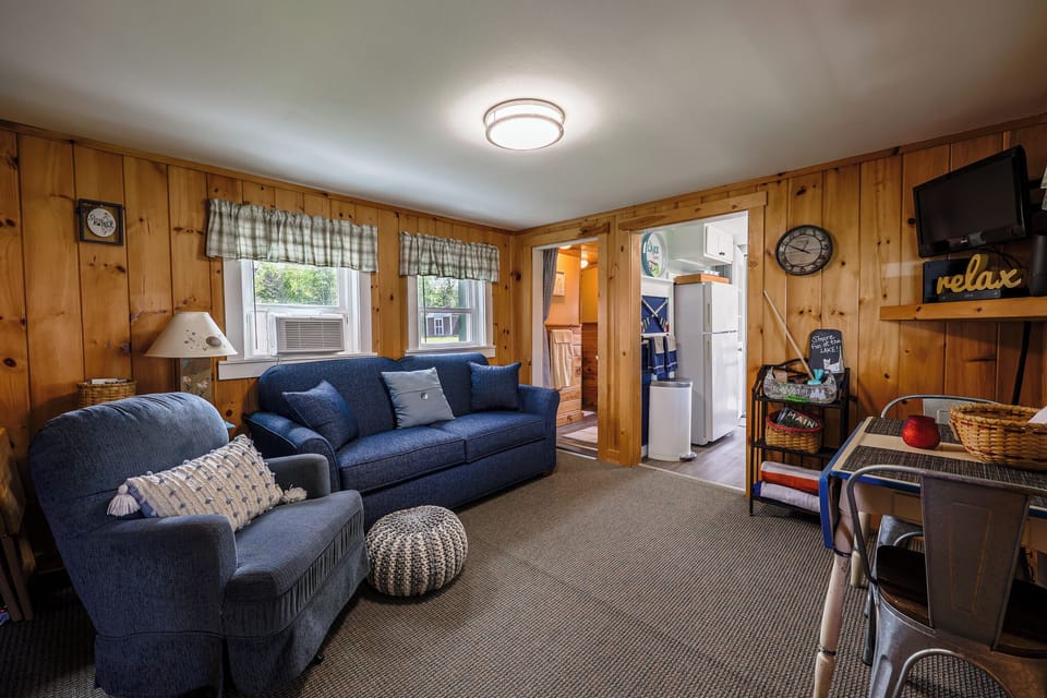 Living room with new full-size sofa bed