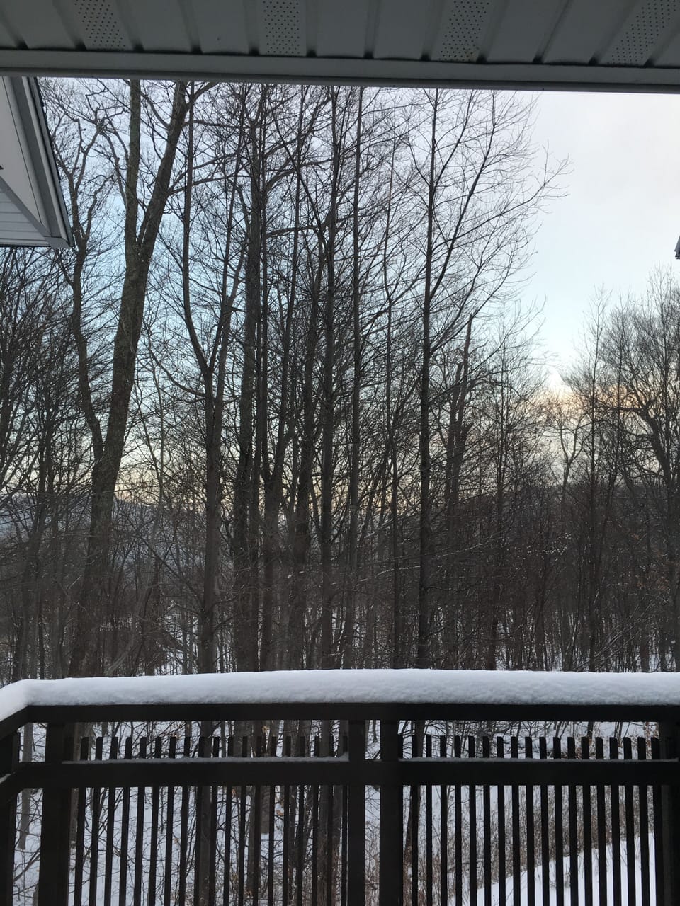 View from the deck
