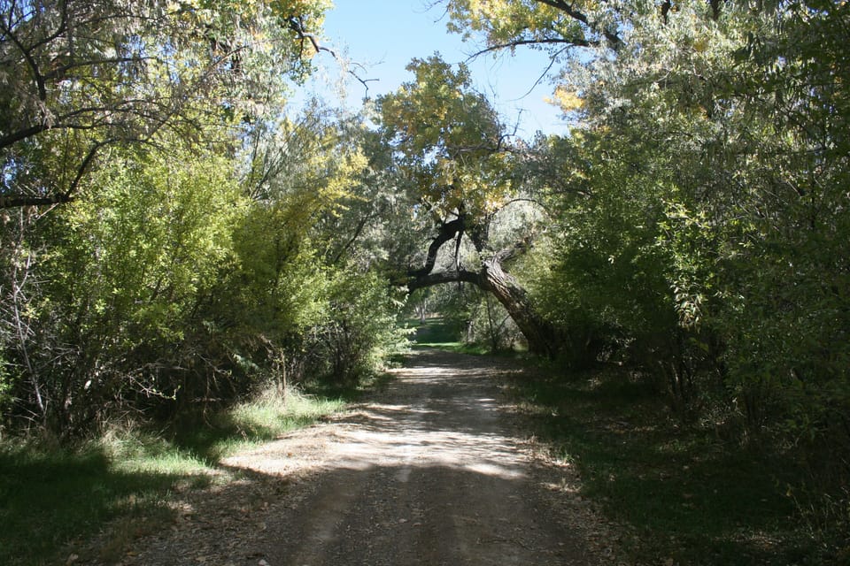 One of many paths to walk, jog or ride