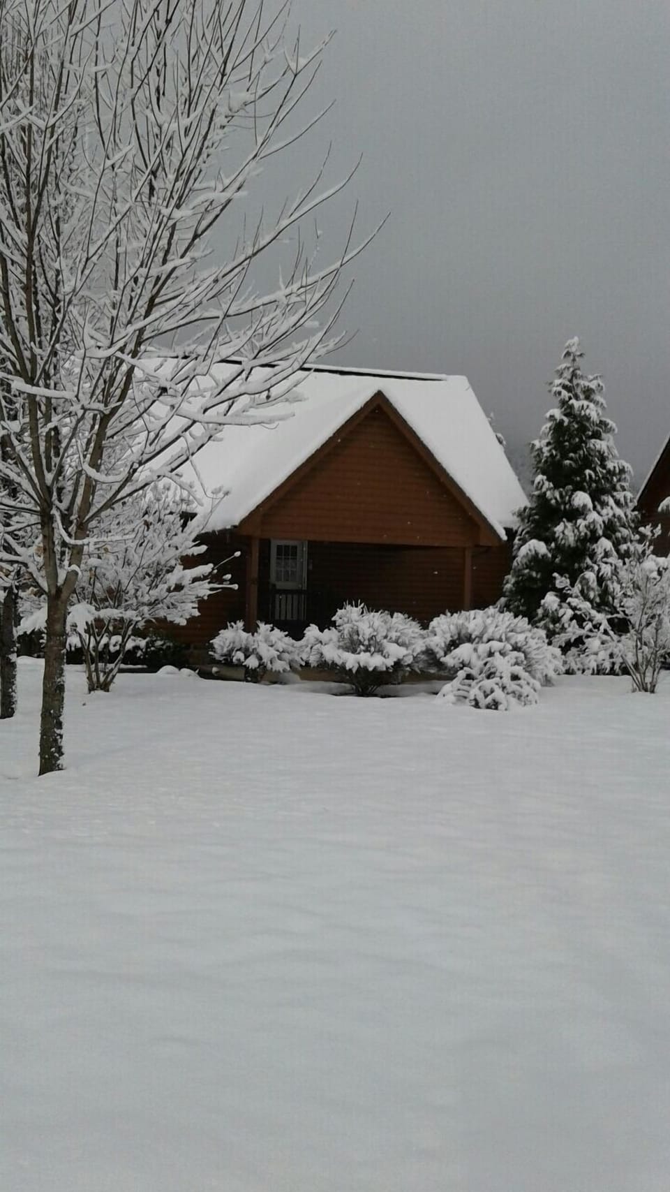 Wintertime at the cabin