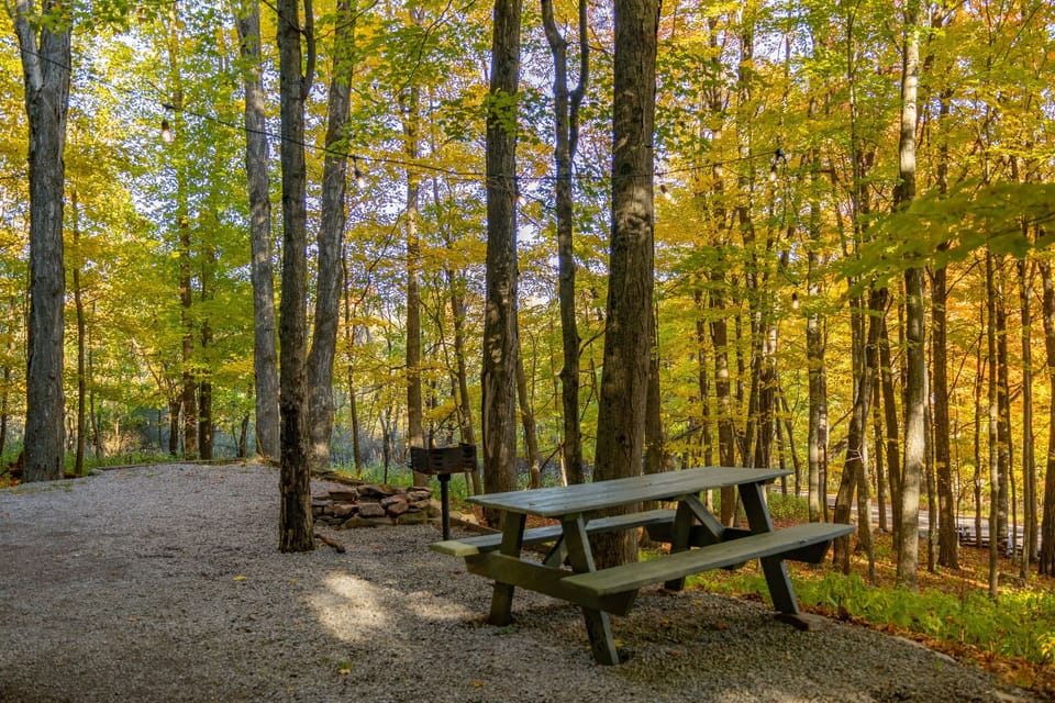 Picnic area (because glamping isn't complete without a campfire)