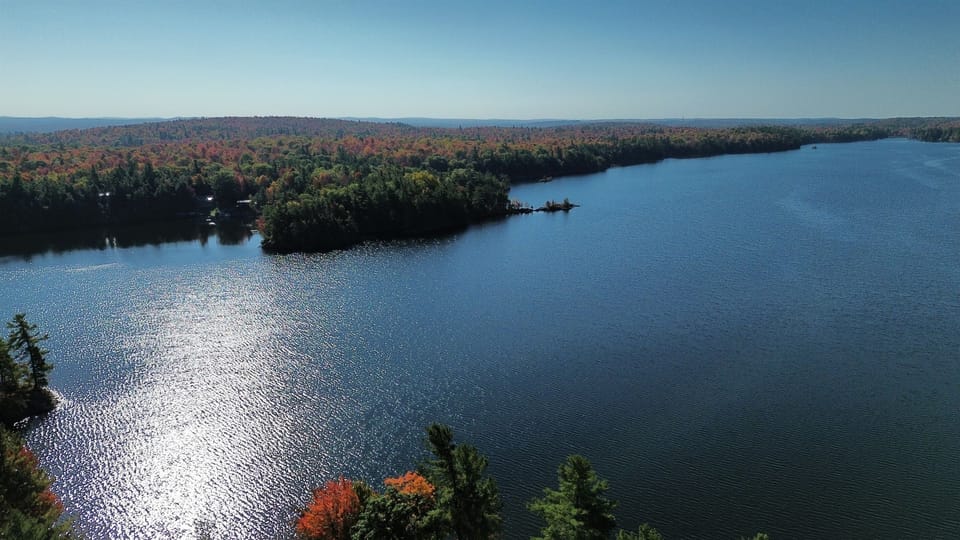 One Third of the Lake is Forever Wild