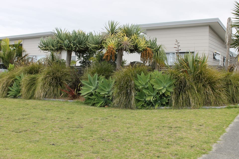 Front lawn