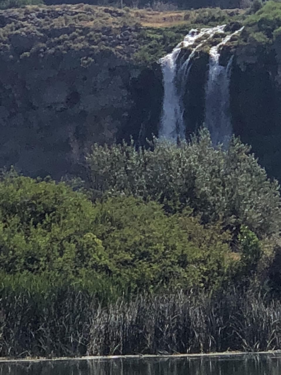 Near by 1000 Springs