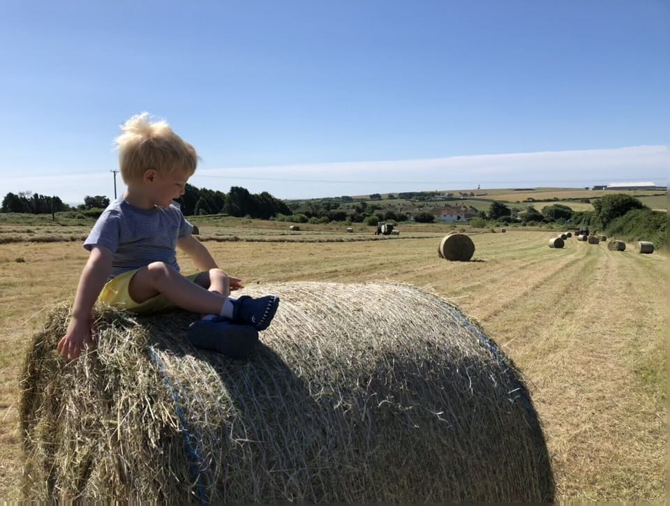 Making hay in the summer.