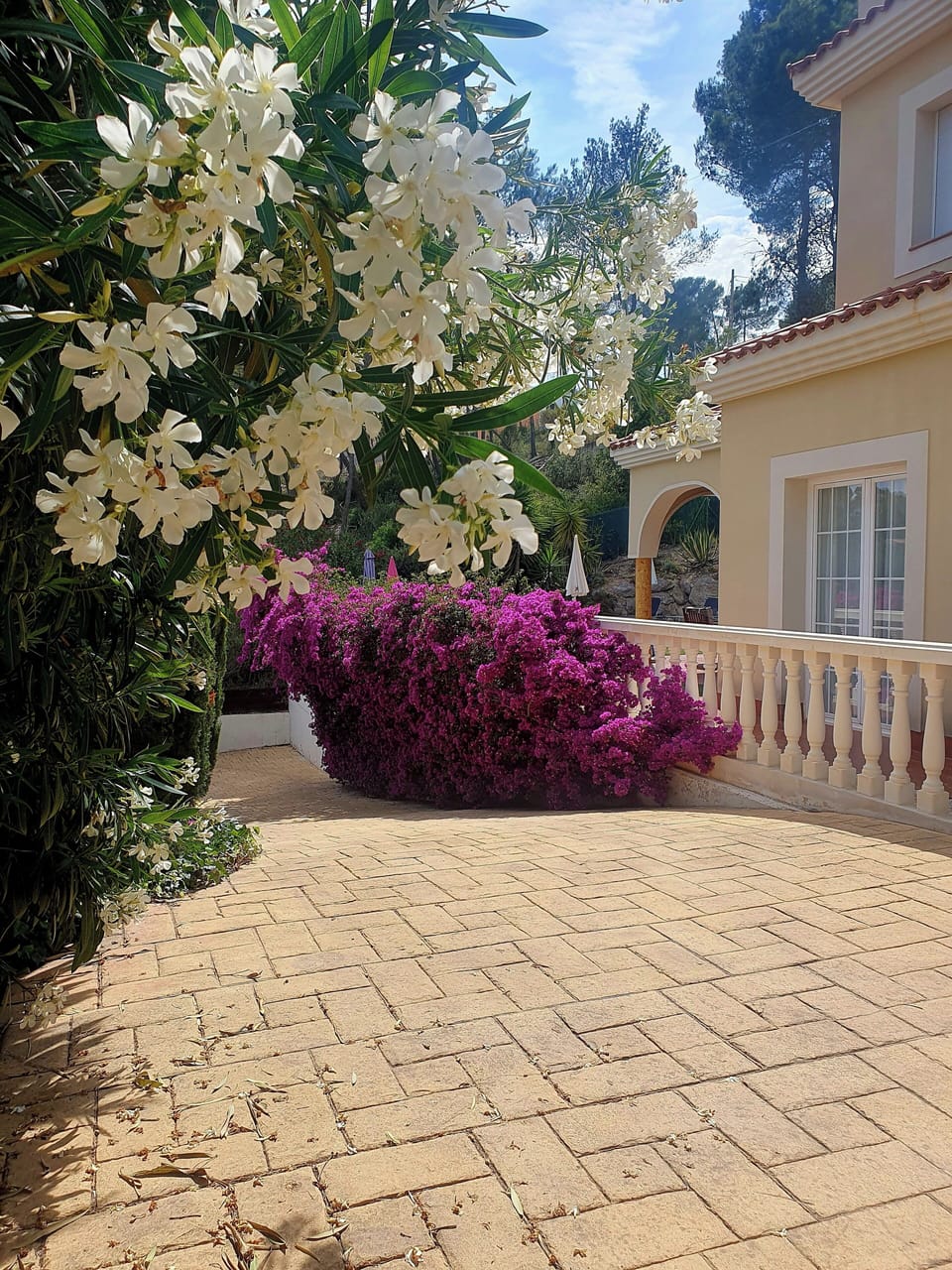 entrance 
