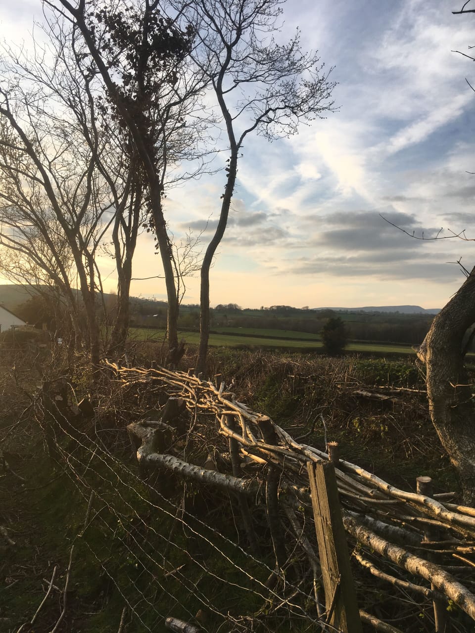 We work hard to maintain our traditional hedges and boundaries
