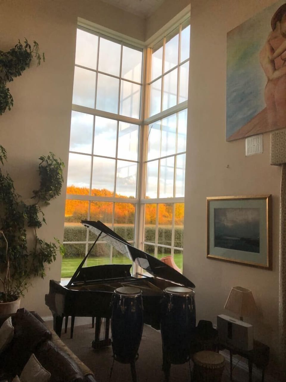  Panoramic Views of nearby woods with regular sighting of Wild Deer