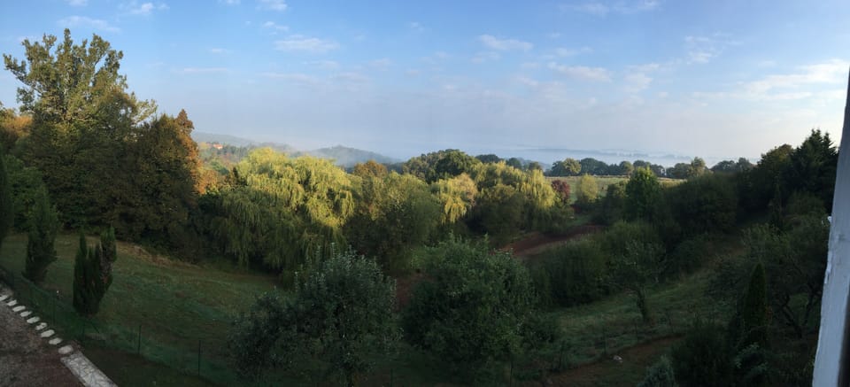 The setting