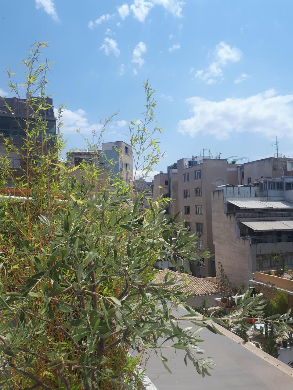 View of the Parthenon from the roof top terrace