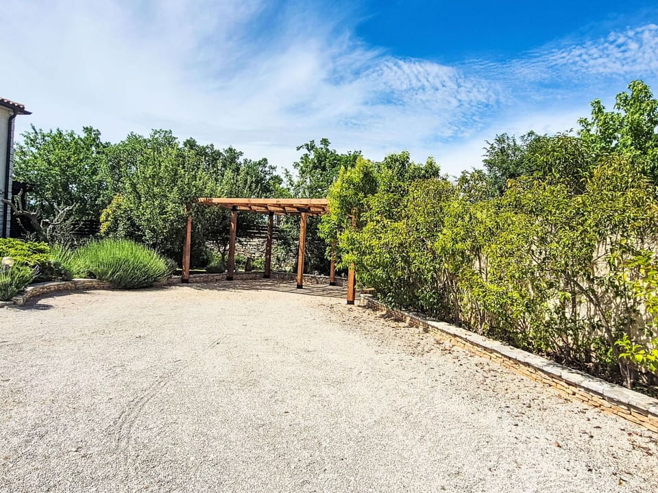 Shrub, Garden, Sunlight, Trail, Shade, Landscaping, Walkway, Driveway, Botanical Garden, Path