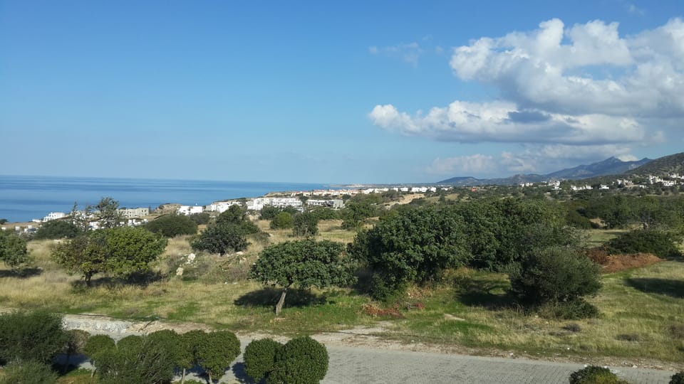 view from roof terrace