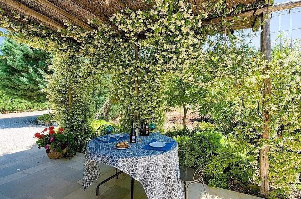 Outdoor Living with Gas BBQ