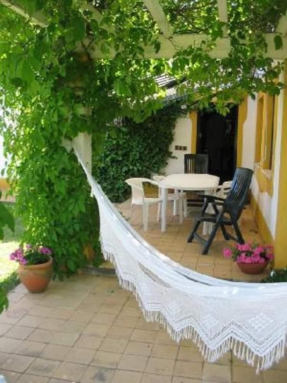 Garden, Park