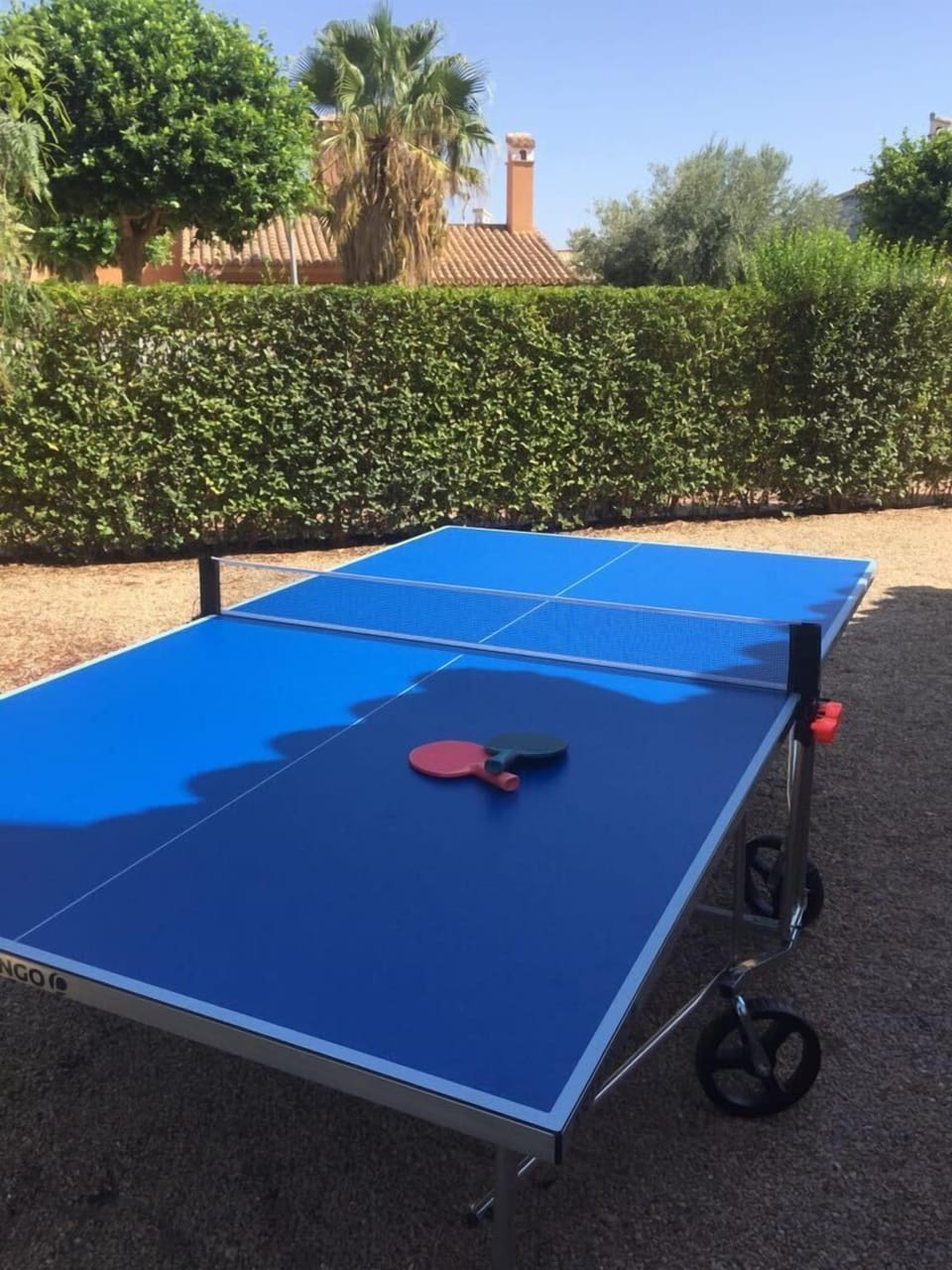 Brand new Table Tennis table and paddles