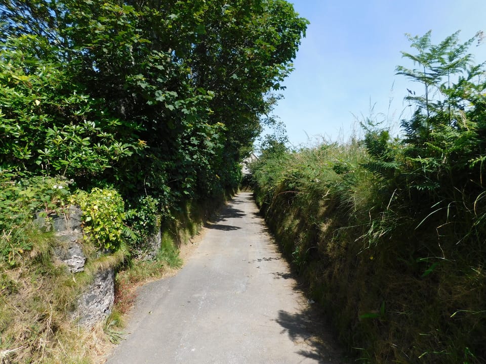view down lane as it narrows