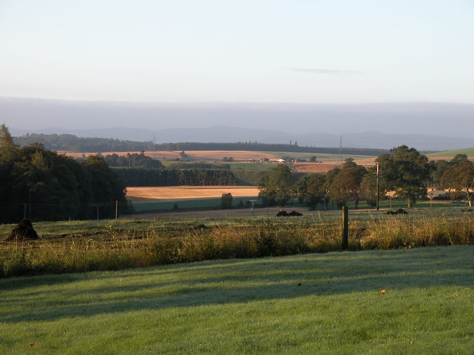 Early morning view from the cottage
