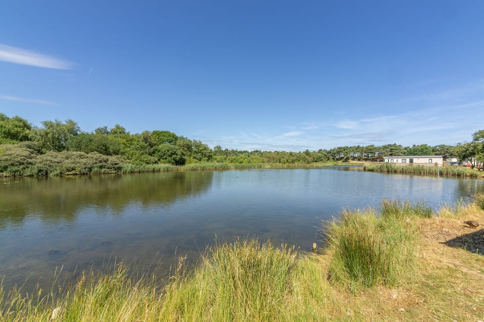 The sublime view from Avocet 28 towards the pine forest and beach