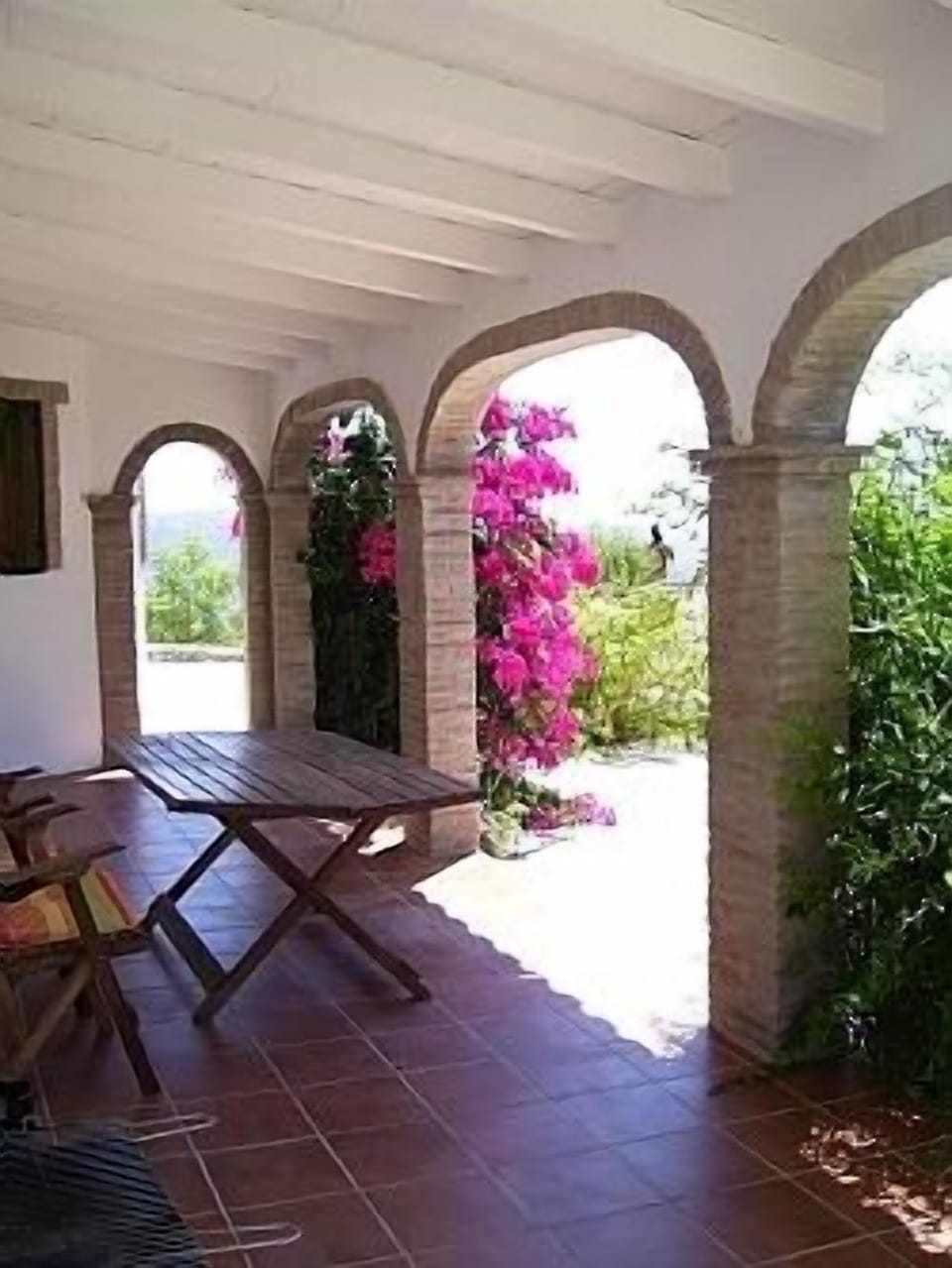 The Terrace