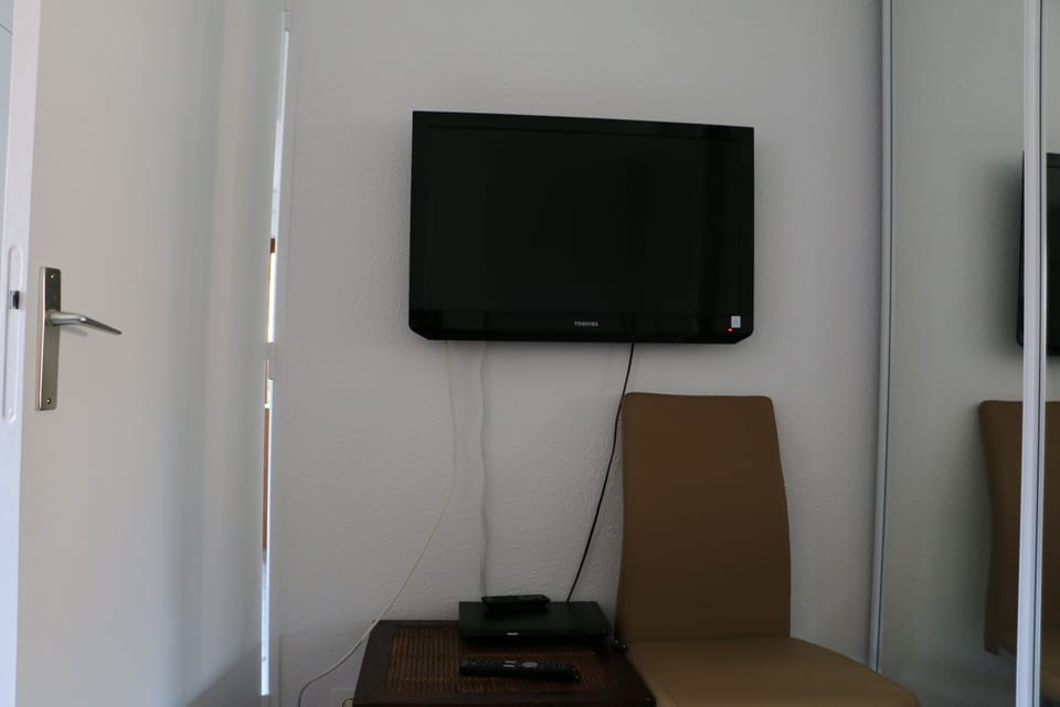 Television
