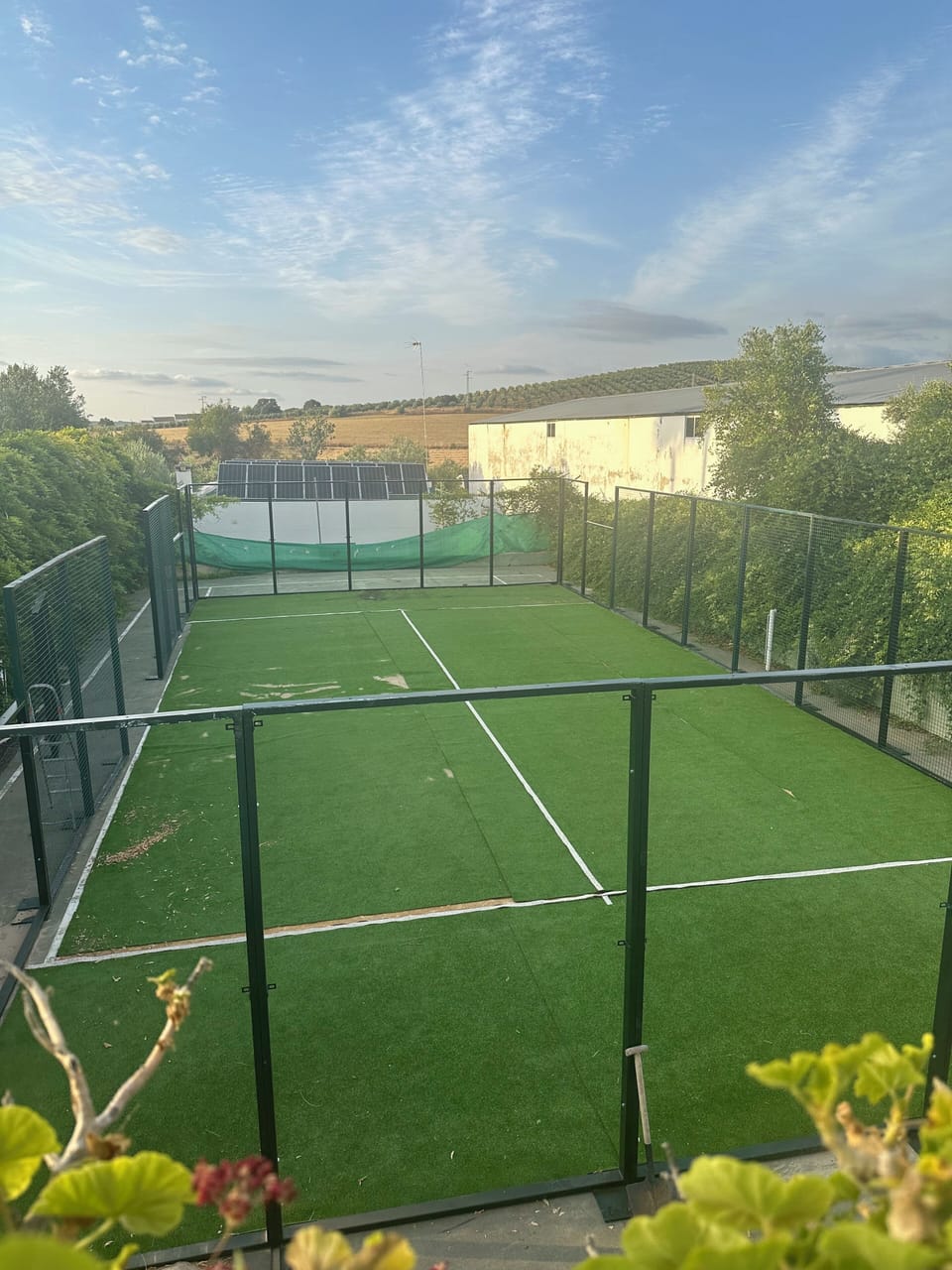 Sport court