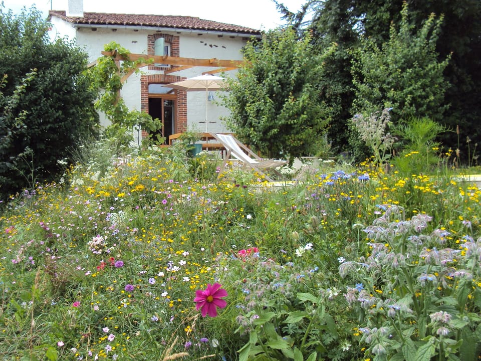 Chez Nous
